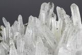 Quartz and Pyrite Association - Pyrite Crystal Inclusions! #178365-2